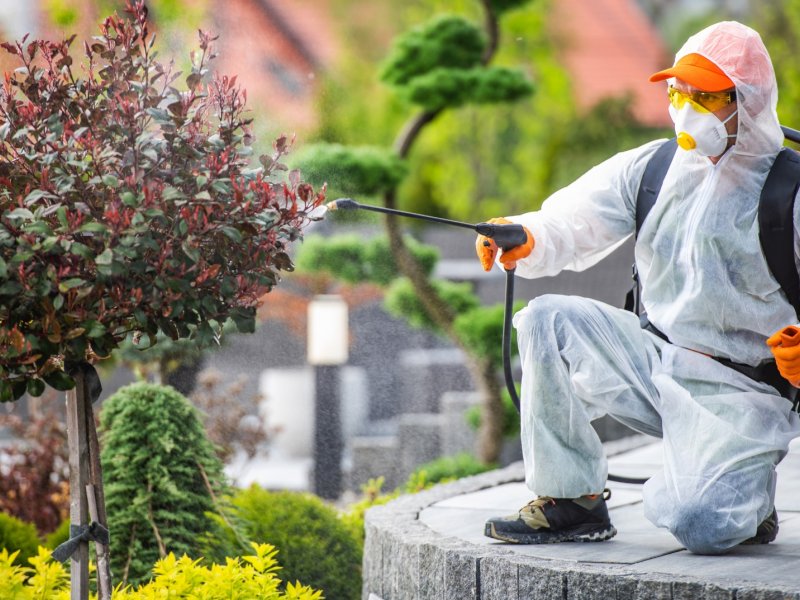 Bağlar Haşere İlaçlama